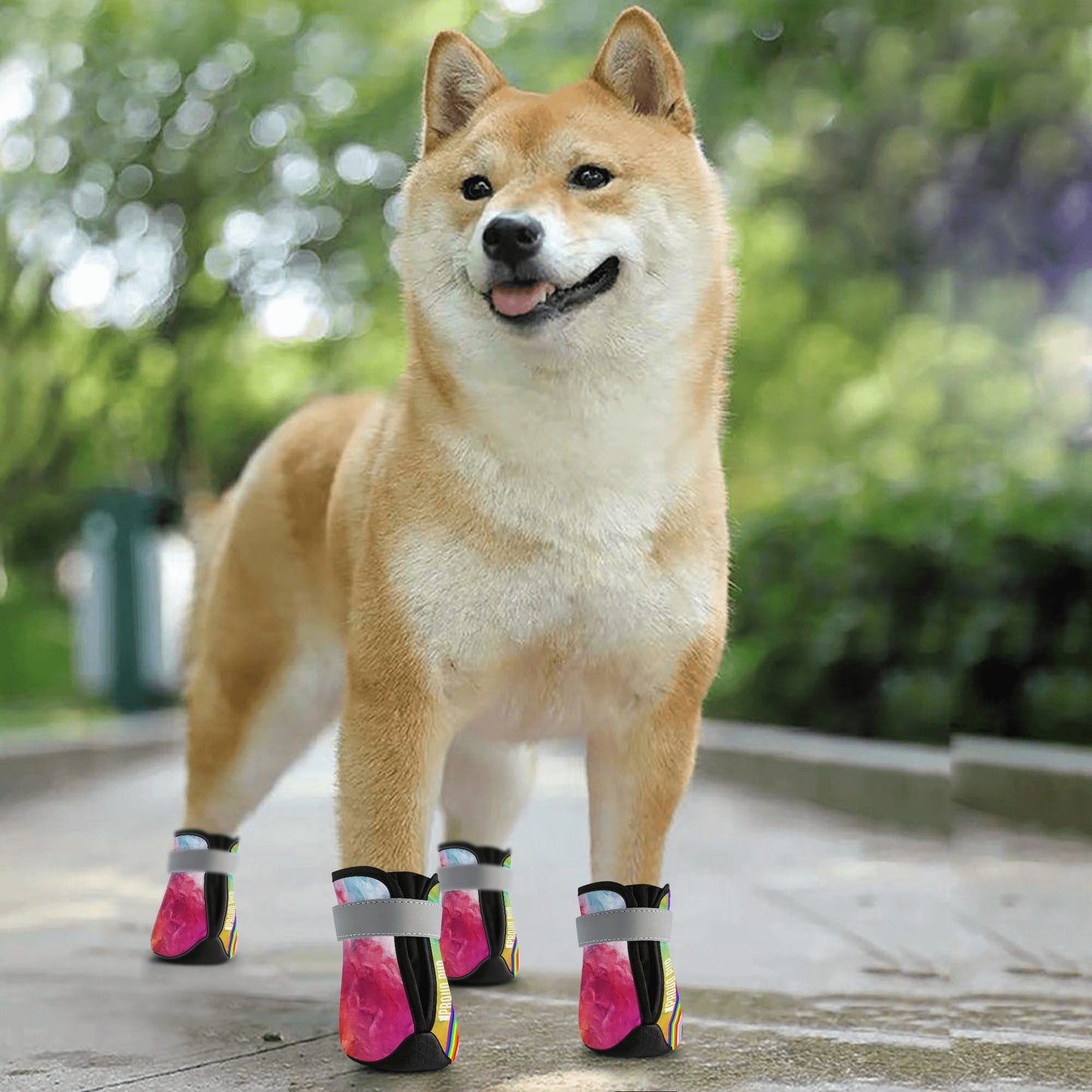 Proud Pup Non Slip Dog Socks
