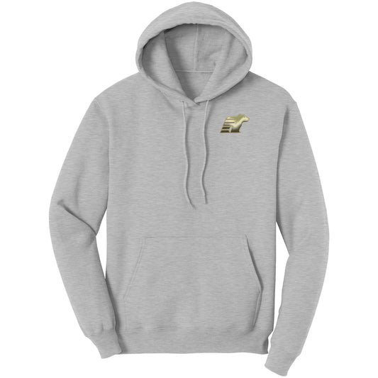 BWHS Unisex Hoodie - Golden Bears Swipe