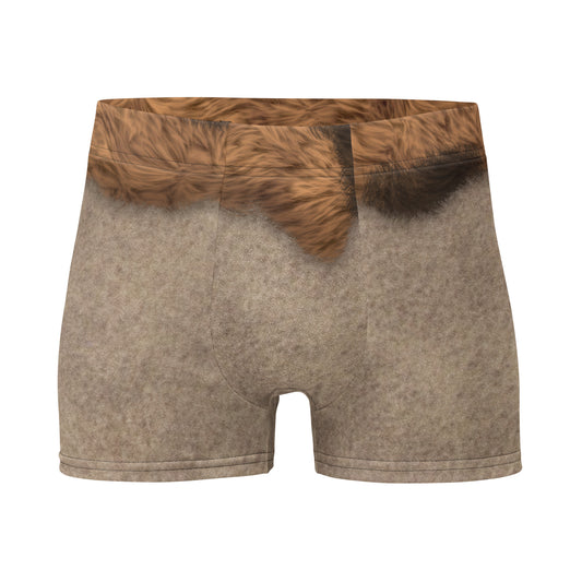 Pajamgeries Boxer Briefs - Caveman